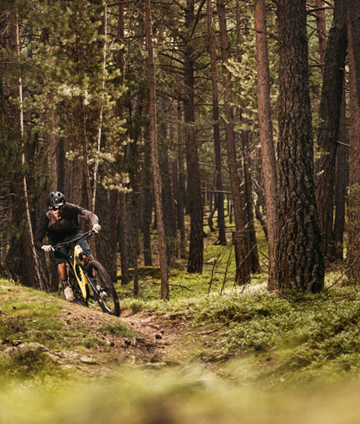 Bike Pass