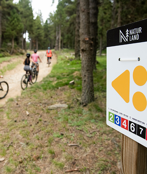 Bike pass + alquiler ebike + ruta guiada