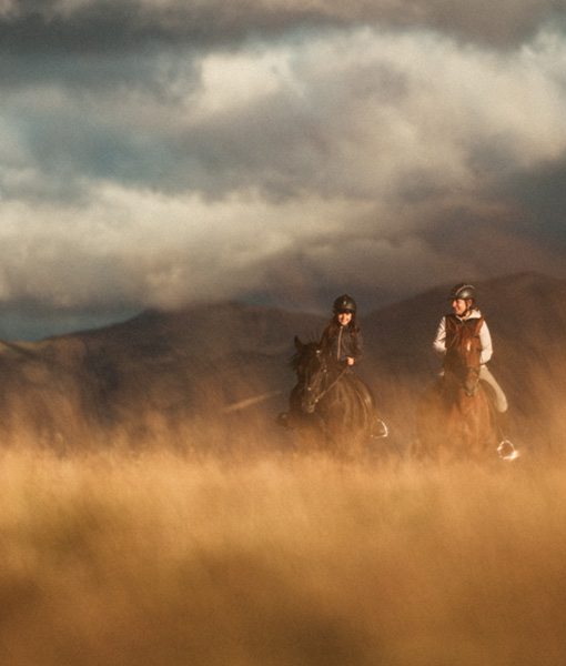 Ruta a caballo 1h