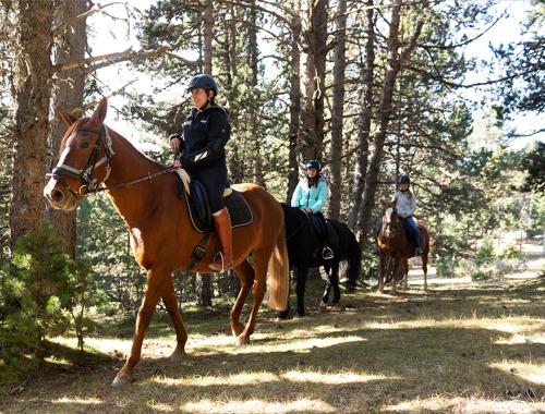 Ruta guiada a caballo